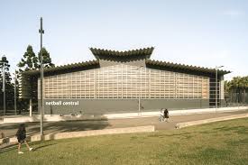 Image result for Sports Centre Netball