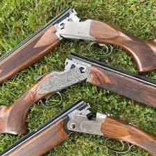 Image result for Hurworth Air Gun Club