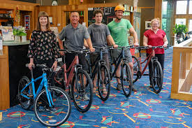 Image result for Link Leisure