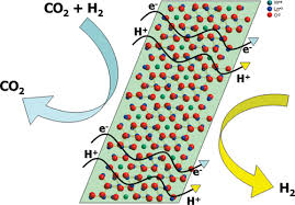 Image result for Sfânta Waltrude