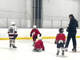 Image result for Adur Skater Hockey Club
