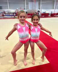 Image result for City Of Newcastle Gymnastics Academy
