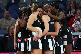 Image result for Ledbury Magpies Netball Club