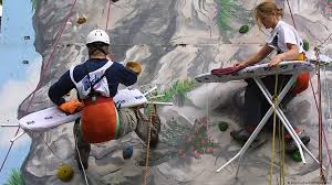 Image result for extreme ironing
