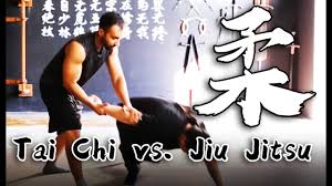 Image result for Tae-jitsu