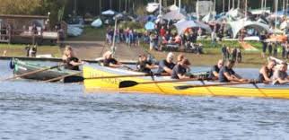 Image result for Appledore Pilot Gig Club