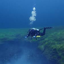 Image result for Headstream Divers