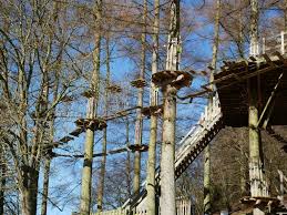 Image result for Go Ape! Dalby