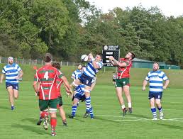 Image result for Wanstead RFC