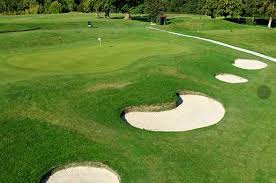 Image result for Redhill & Reigate Golf Club