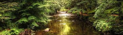 Image result for Dulverton Angling Association