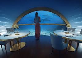 Image result for Uwe Sub Aqua Club