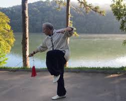 Image result for Jade Dragon School of Kung Fu and Qigong (Reading)