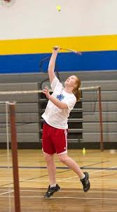 Image result for Hayley Badminton Club (Sunday Smashers)