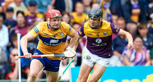 Image result for Clarehurlers