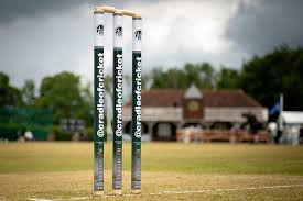 Image result for Hampole & Skelbrooke Cricket Club