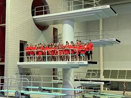 Image result for 3D Diving Club