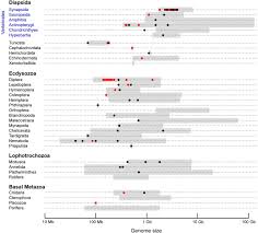 Image result for genome sizes