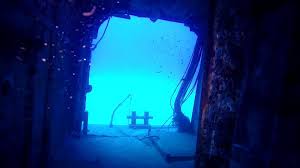 Image result for British Sub-Aqua Teesside 43 Branch