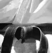 Image result for Springwood Karate