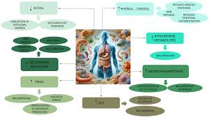 Attēlu rezultāti vaicājumam “Pemphigus borealis”
