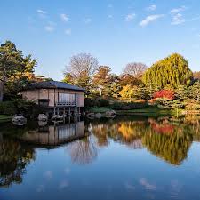 Image result for japanese gardens...
