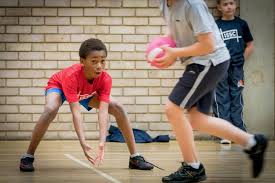 Image result for Ipswich Ladies Netball Club