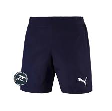 Image result for Pumas Netball Club