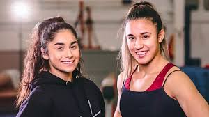 Image result for Gym Stars