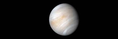 Image result for venus