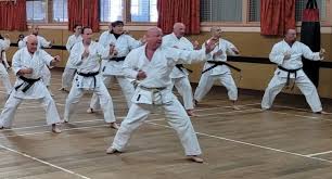 Image result for Fife Shotokan Karate Club