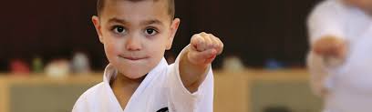 Image result for Addlestone Shotokan Karate Club