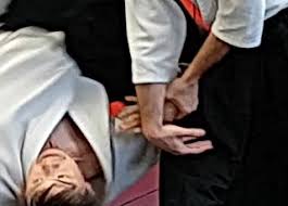 Image result for Harold Hill Aikido Club