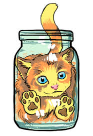 Kuvahaun tulos haulle bonsaikitten