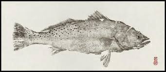 「魚拓」的圖片搜尋結果