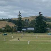 Image result for Dinas Powys Cricket Club