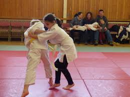 Image result for Beith Judo Club