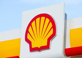 Image result for shell hell