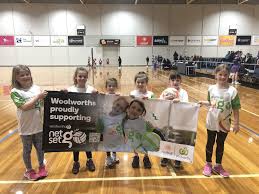 Image result for Newdigate Netball Club