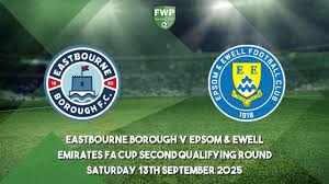 Image result for Epsom & Ewell Football Club