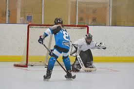 Image result for Ash Avalanche Skater Hockey Club