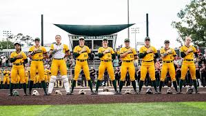 Image result for Lions Softball Club