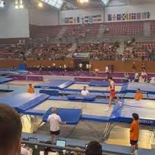 Image result for Edgbarrow Trampoline Club