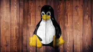 Image result for linux