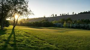 Image result for Reigate Hill Golf Club