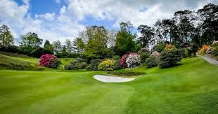 Image result for Hindhead Golf Club