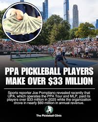 Image result for The Pickleballers UK