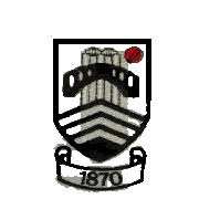 Image result for Bay Dragons CC