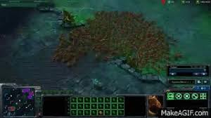 Image result for zerg rush