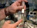 Antibiotic shows promise in silencing resistant bugs - Worldnews.